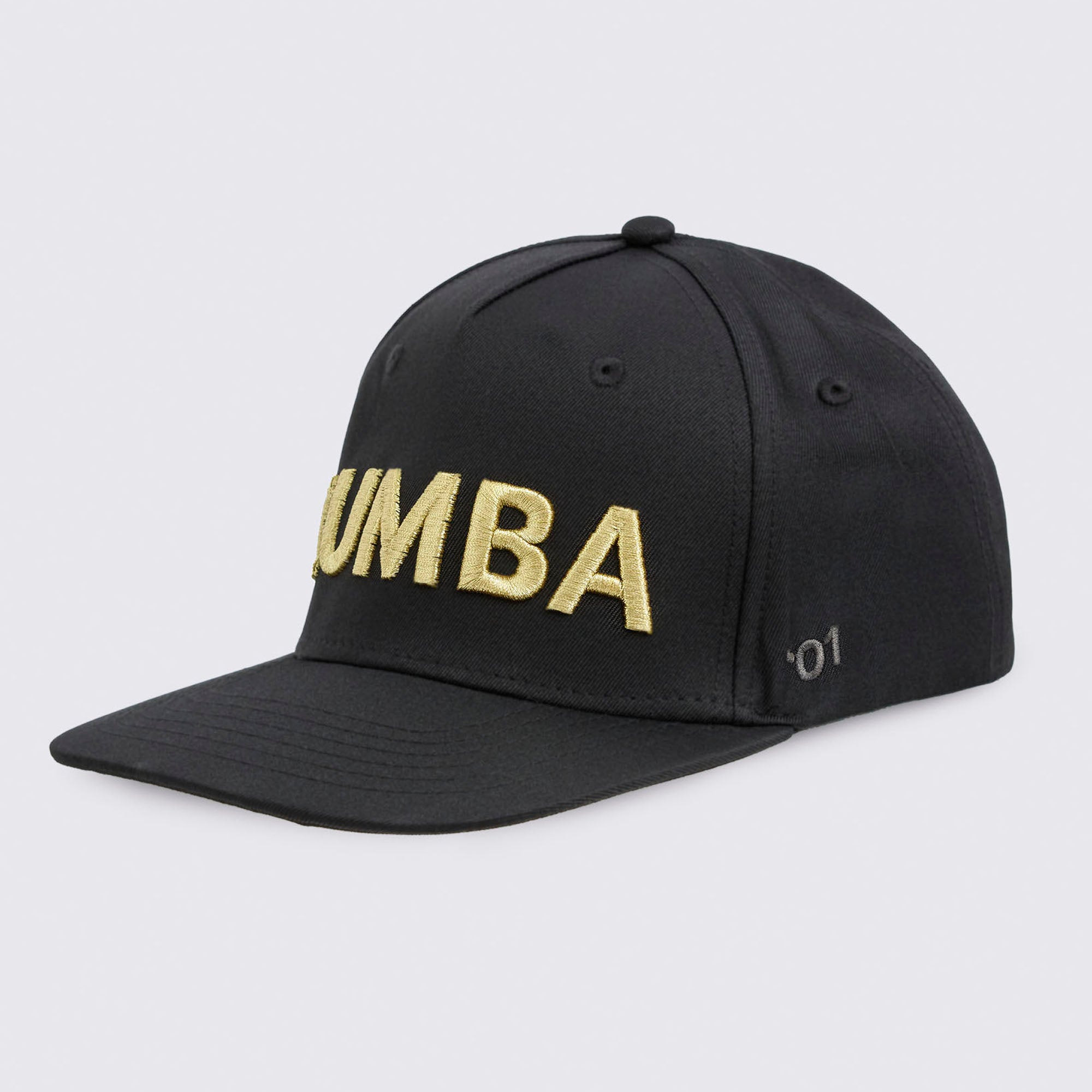 Zumba Core Snapback Cap